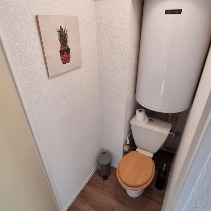 Le Montagnard Apartment Mijoux Ngoại thất bức ảnh